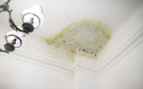 Brzydki zaciek na suficie, żółto-zielone przebarwienia i pleśń w rogu pokoju. Lampa zwisa obok.