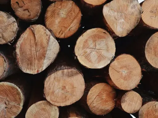 Stos pociętych pni drzewnych, gotowych na budowę domu. Widać słoje i naturalne piękno drewna.